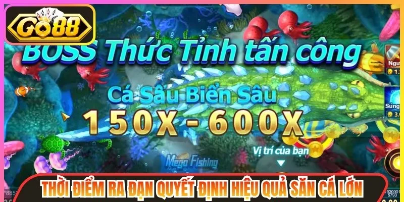 Bí Quyết Săn Cá Lớn Giúp Tăng Tỷ Lệ Hạ Boss Hiệu Quả